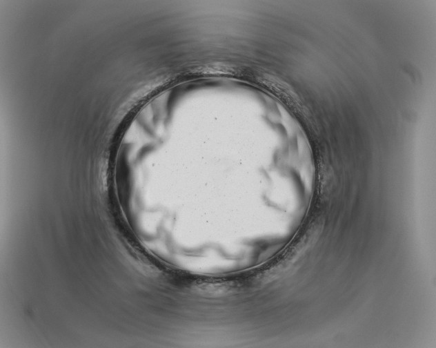 X0000113990299200910161653