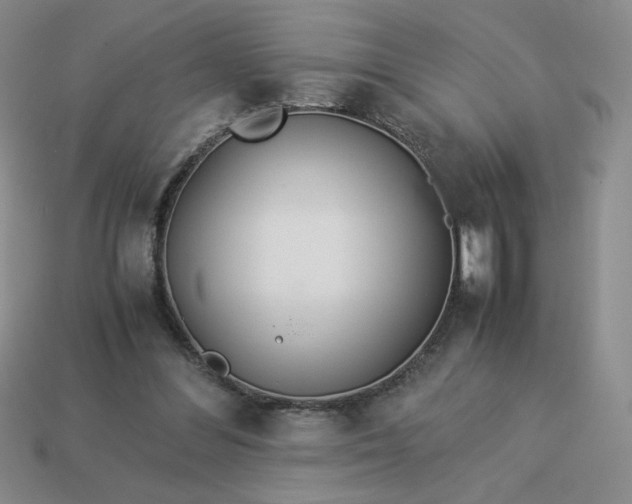 X0000113990300200910161653