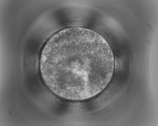 X0000113990301200910161653