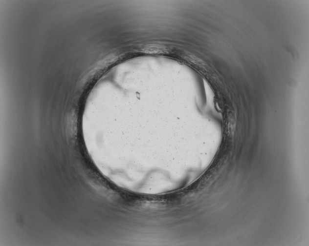 X0000113990303200910161653