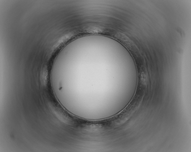 X0000113990304200910161653