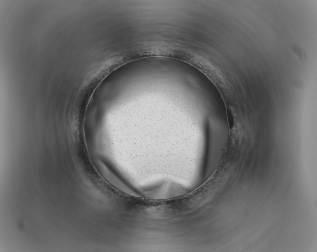 X0000113990306200910161653