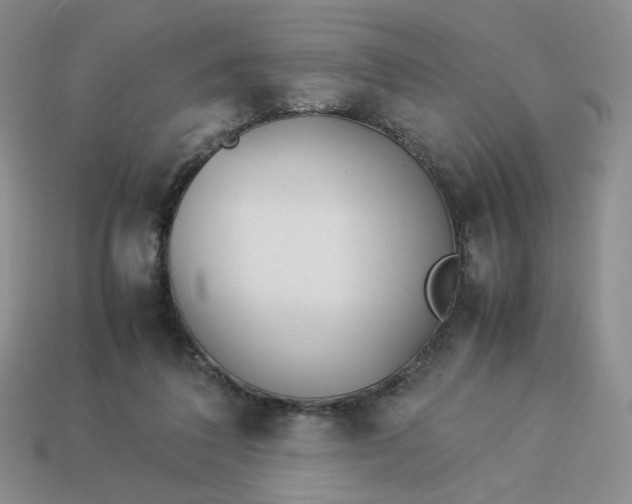 X0000113990308200910161653