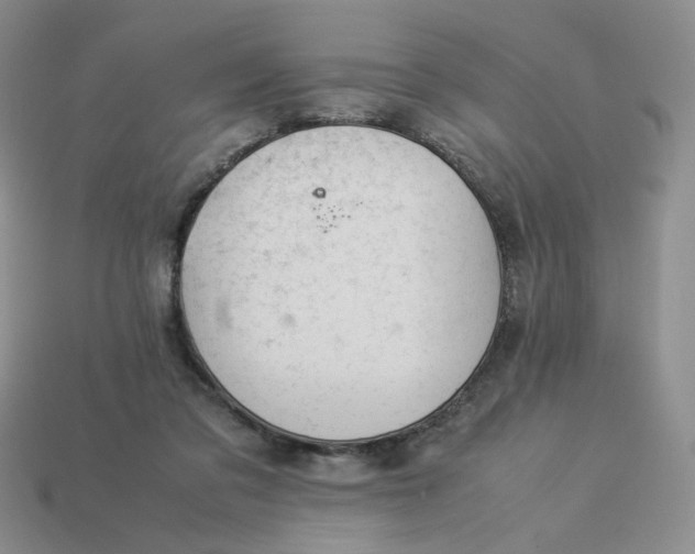 X0000113990309200910161653