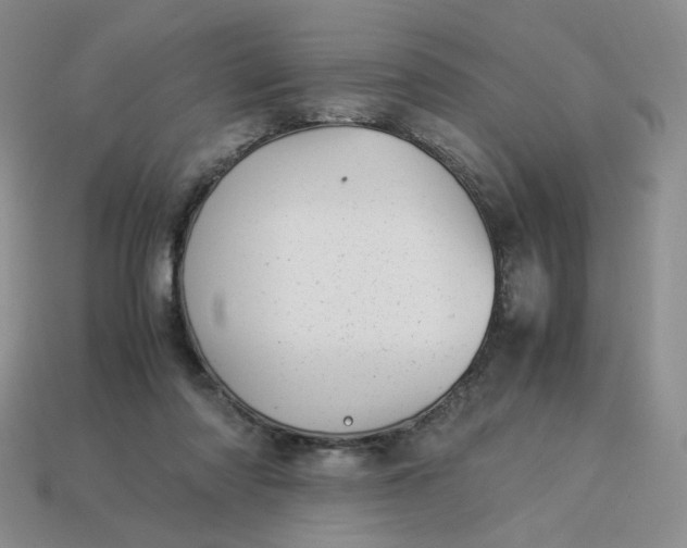 X0000113990310200910161653