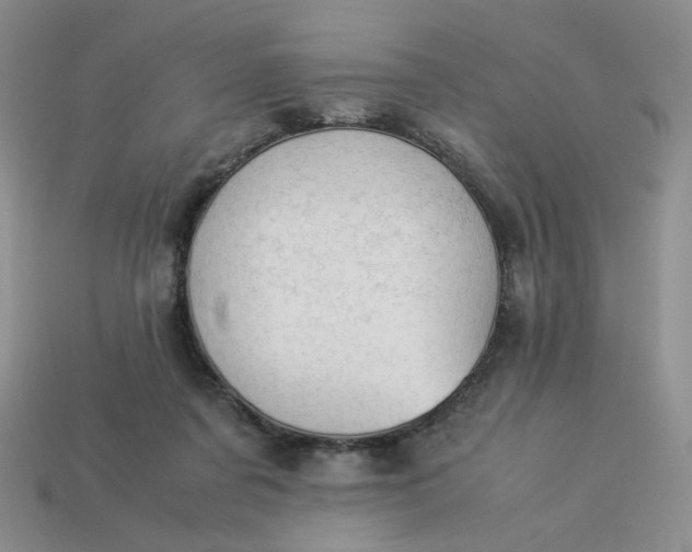 X0000113990311200910161653