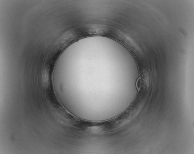 X0000113990312200910161653