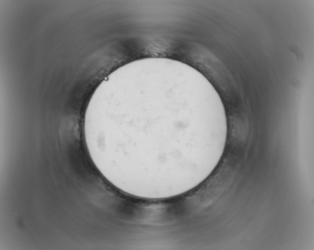 X0000113990313200910161653