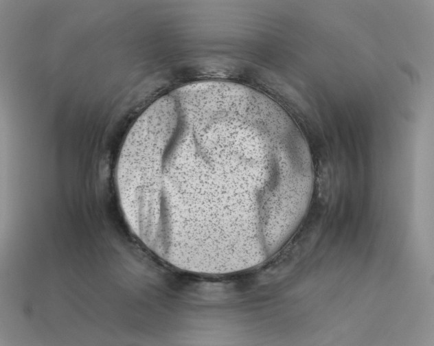 X0000113990314200910161653