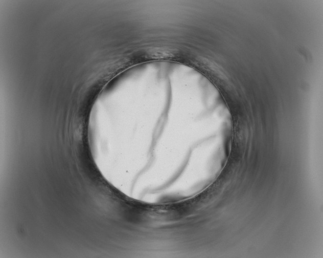 X0000113990315200910161653