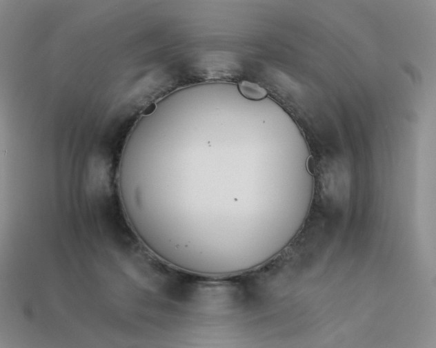 X0000113990316200910161652