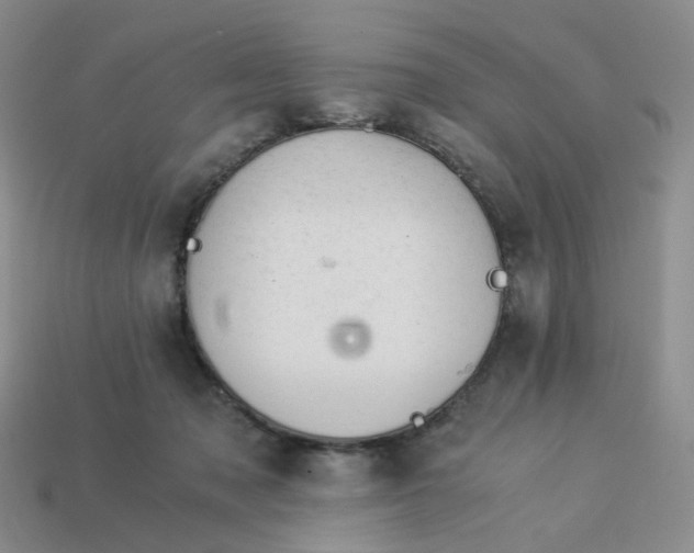 X0000113990317200910161652