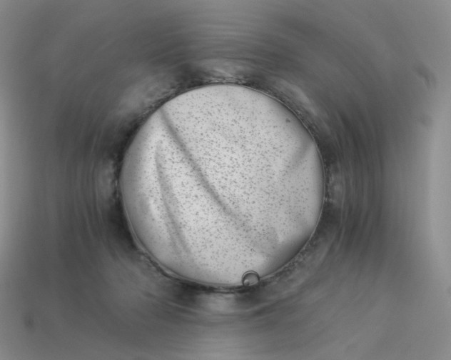 X0000113990318200910161652