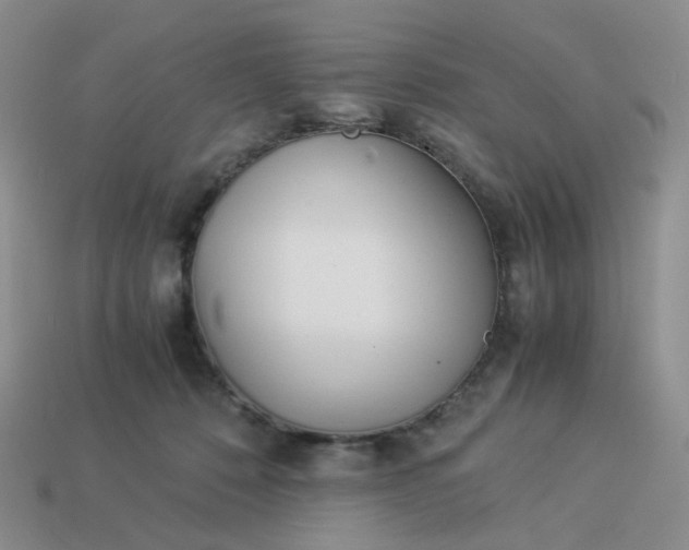 X0000113990320200910161652