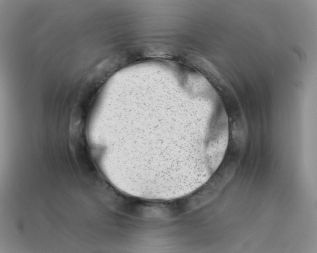 X0000113990322200910161652