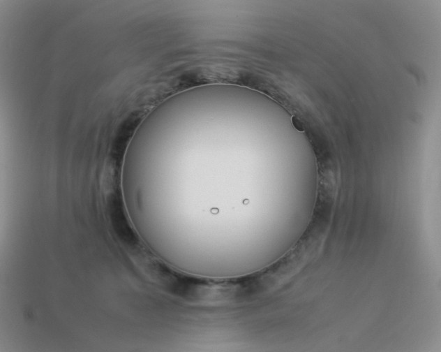 X0000113990323200910161652