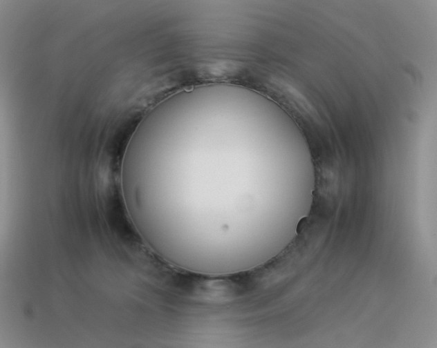 X0000113990324200910161652