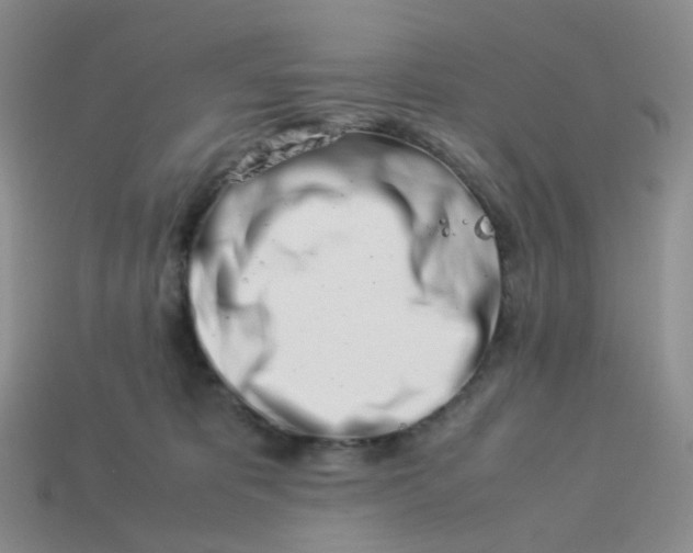 X0000113990325200910161652