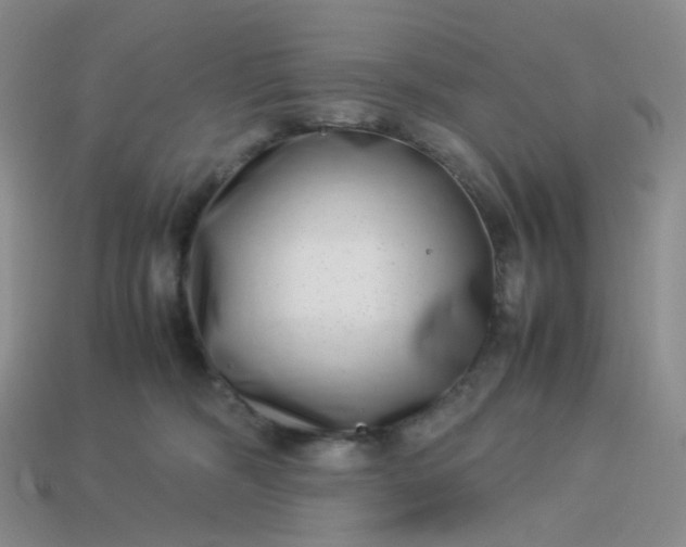 X0000113990326200910161652