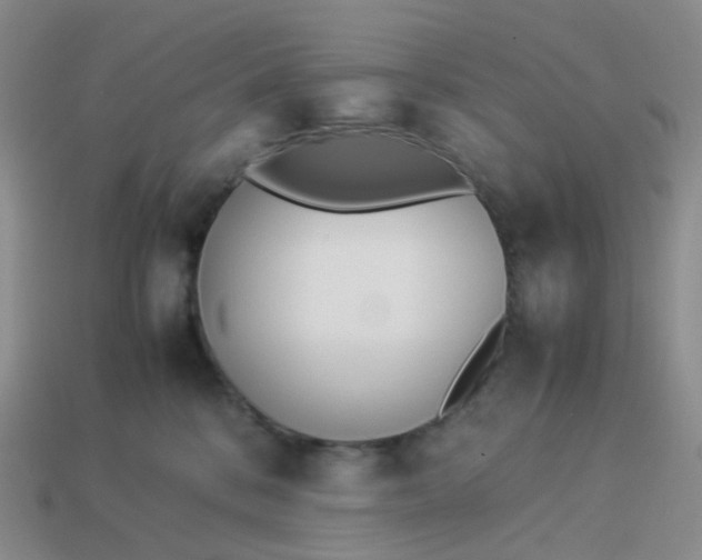 X0000113990328200910161652