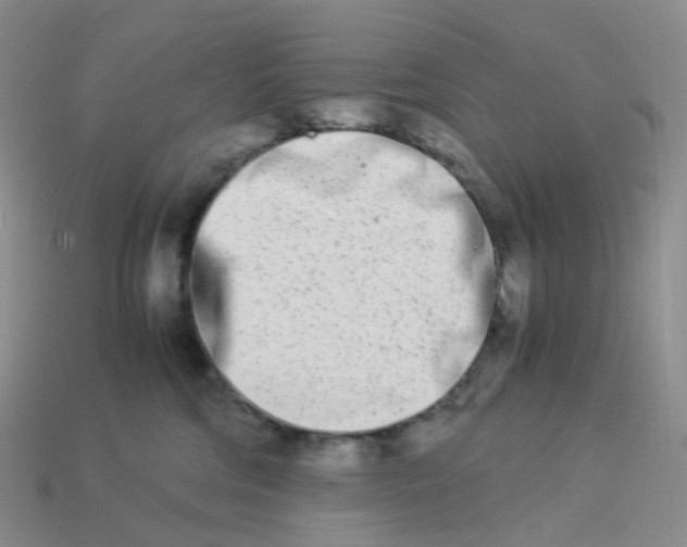 X0000113990330200910161652