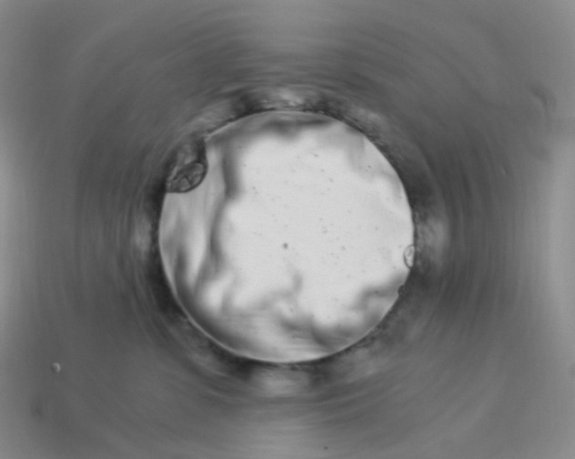 X0000113990331200910161652