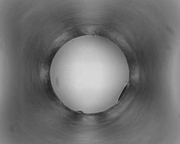 X0000113990332200910161652