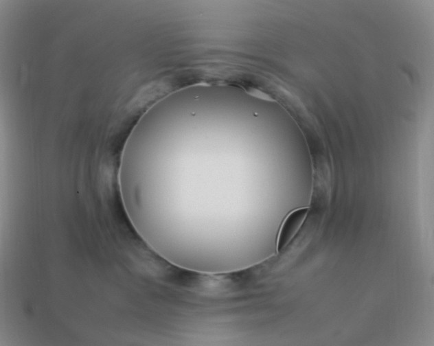 X0000113990333200910161652