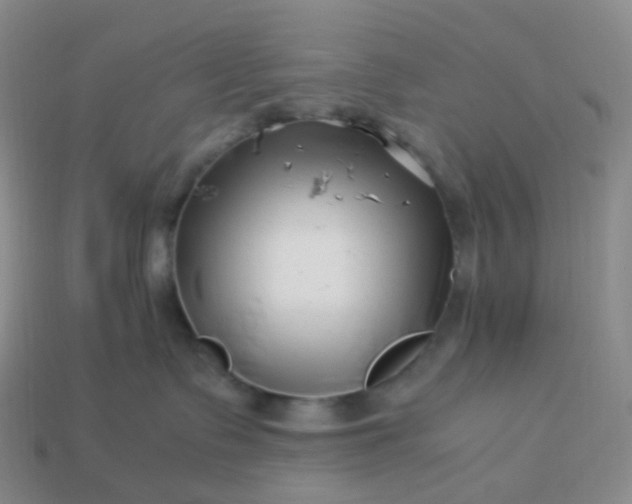 X0000113990335200910161652