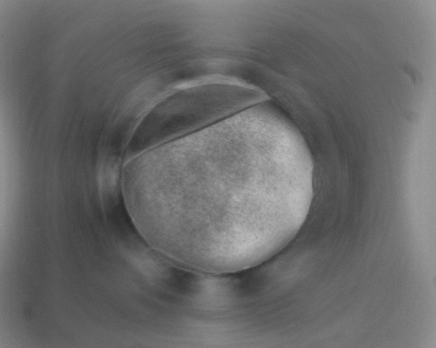 X0000113990336200910161652