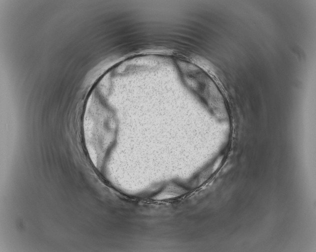 X0000113990337200910161652