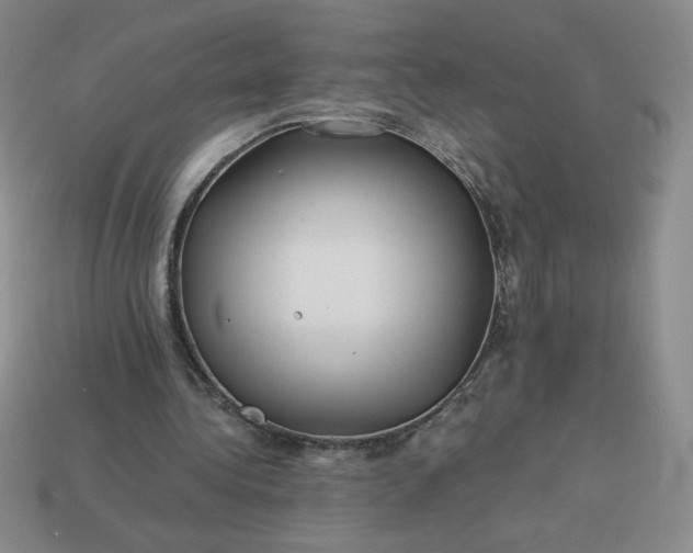 X0000113990340200910161652