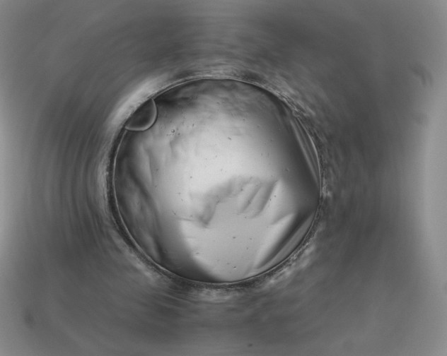 X0000113990341200910161652