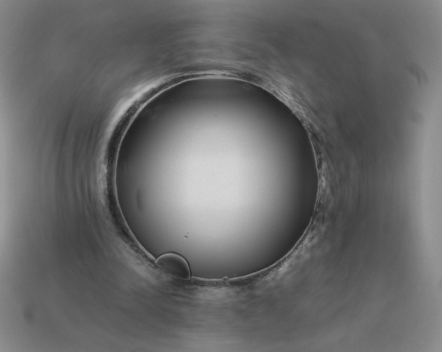 X0000113990342200910161652