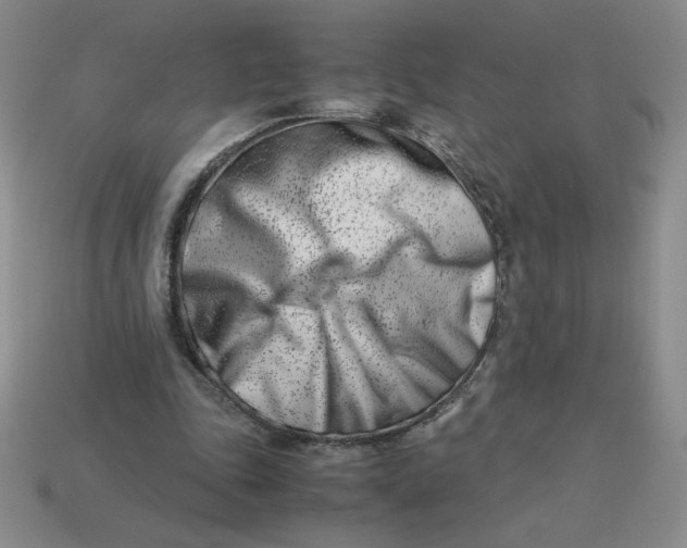 X0000113990343200910161652