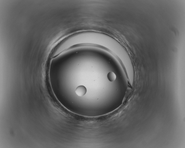 X0000113990344200910161652