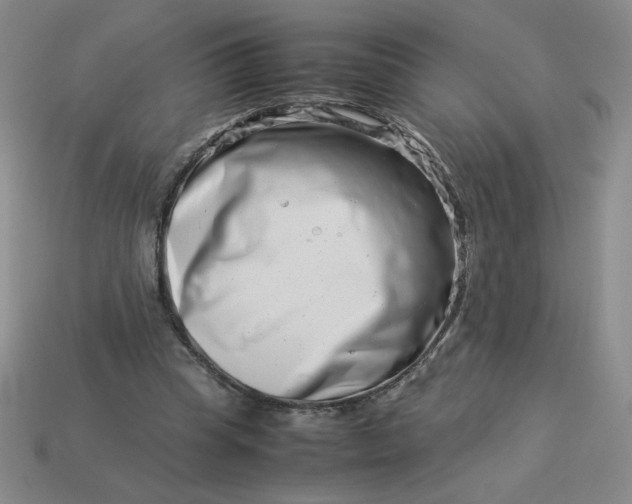 X0000113990345200910161652