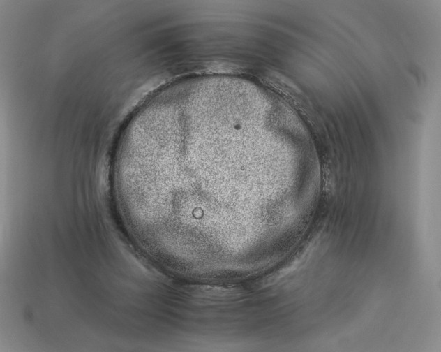 X0000113990347200910161652