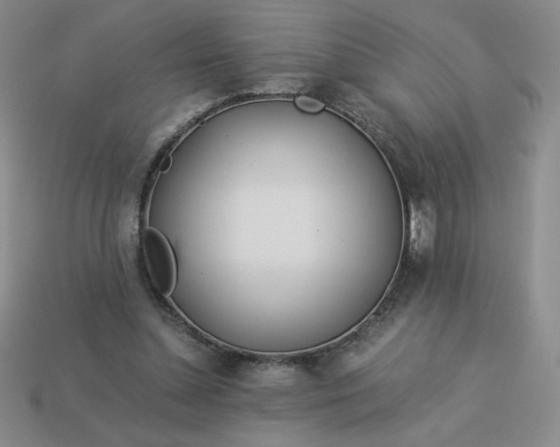 X0000113990348200910161652