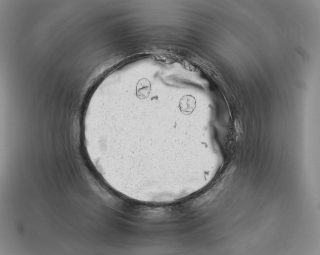 X0000113990349200910161652