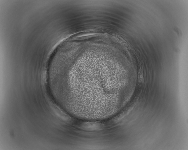 X0000113990351200910161652