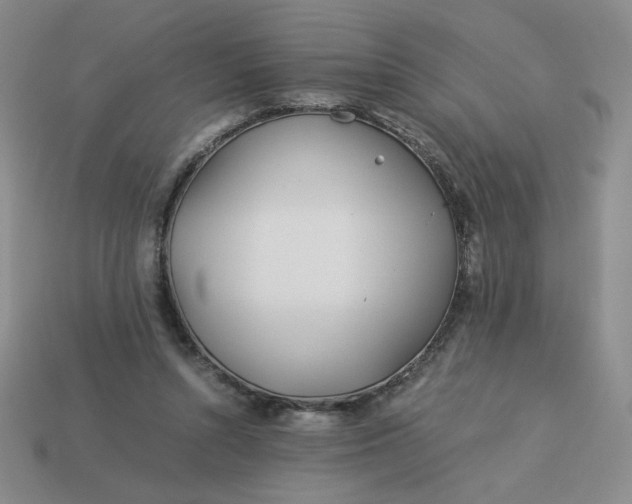 X0000113990352200910161652