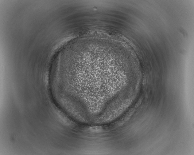 X0000113990353200910161652