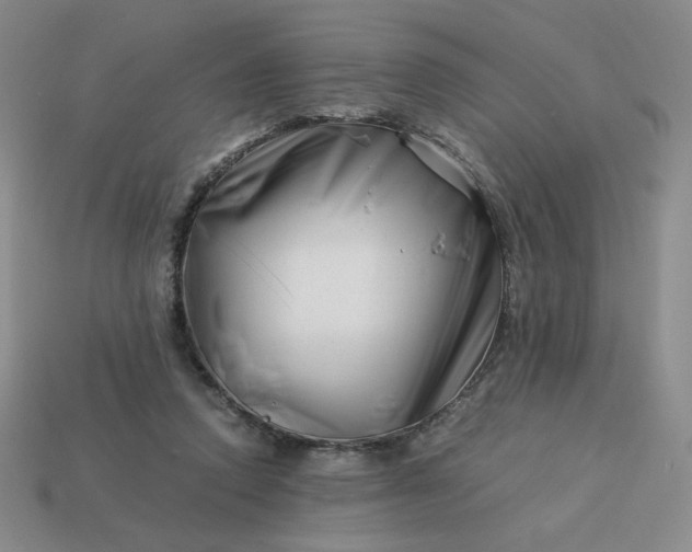 X0000113990354200910161652