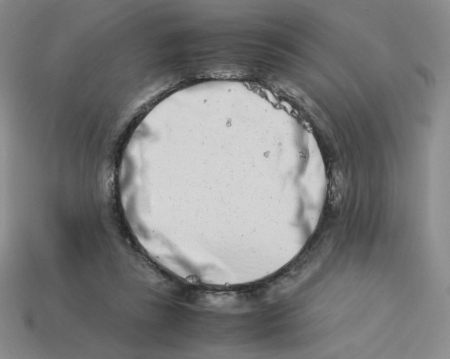 X0000113990355200910161652