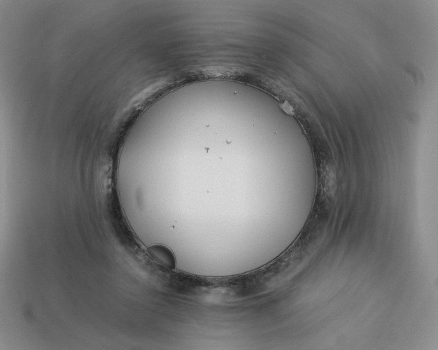 X0000113990356200910161652