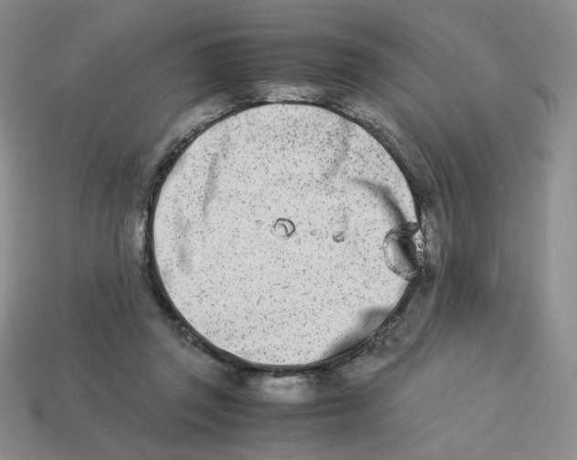 X0000113990357200910161652