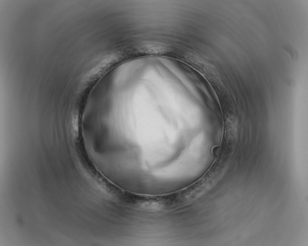 X0000113990358200910161652