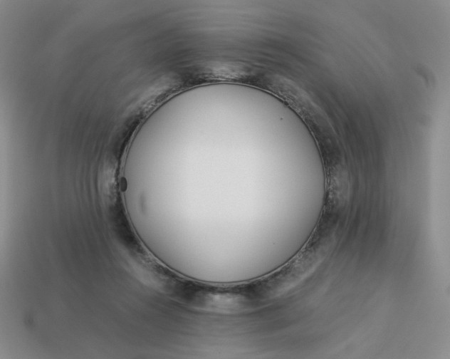 X0000113990360200910161652