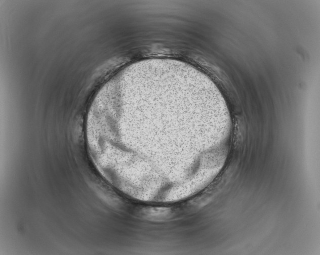 X0000113990361200910161652